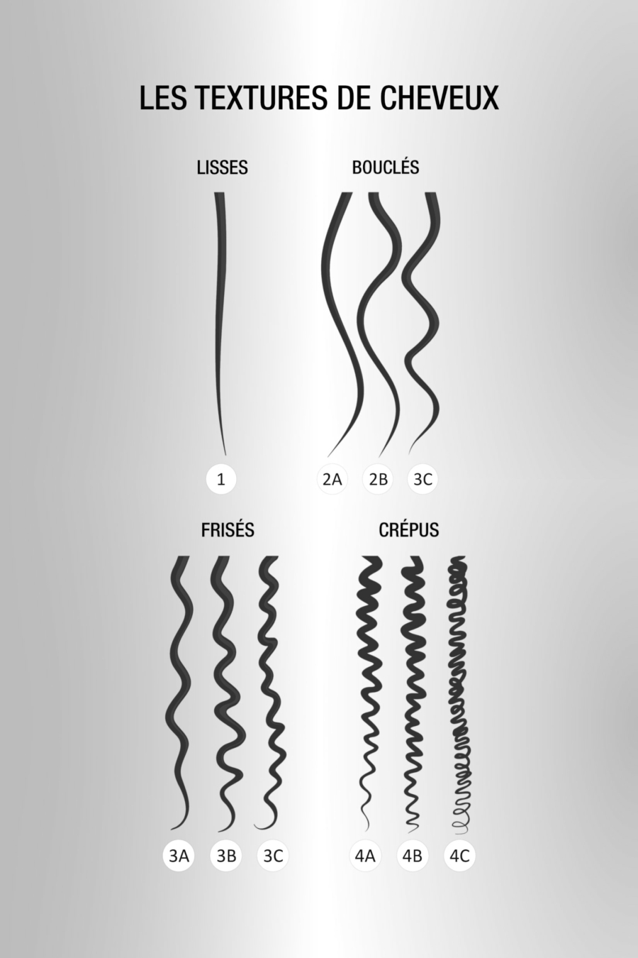 Classement des types de cheveux. Cheveux raides, ondulés, bouclés, crépus © logika600/Shutterstock
