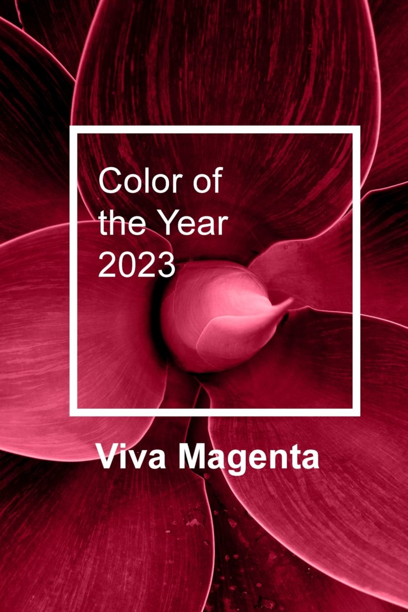 Couleur tendance en 2023&nbsp;: le rouge &agrave; la mode est le Viva Magenta