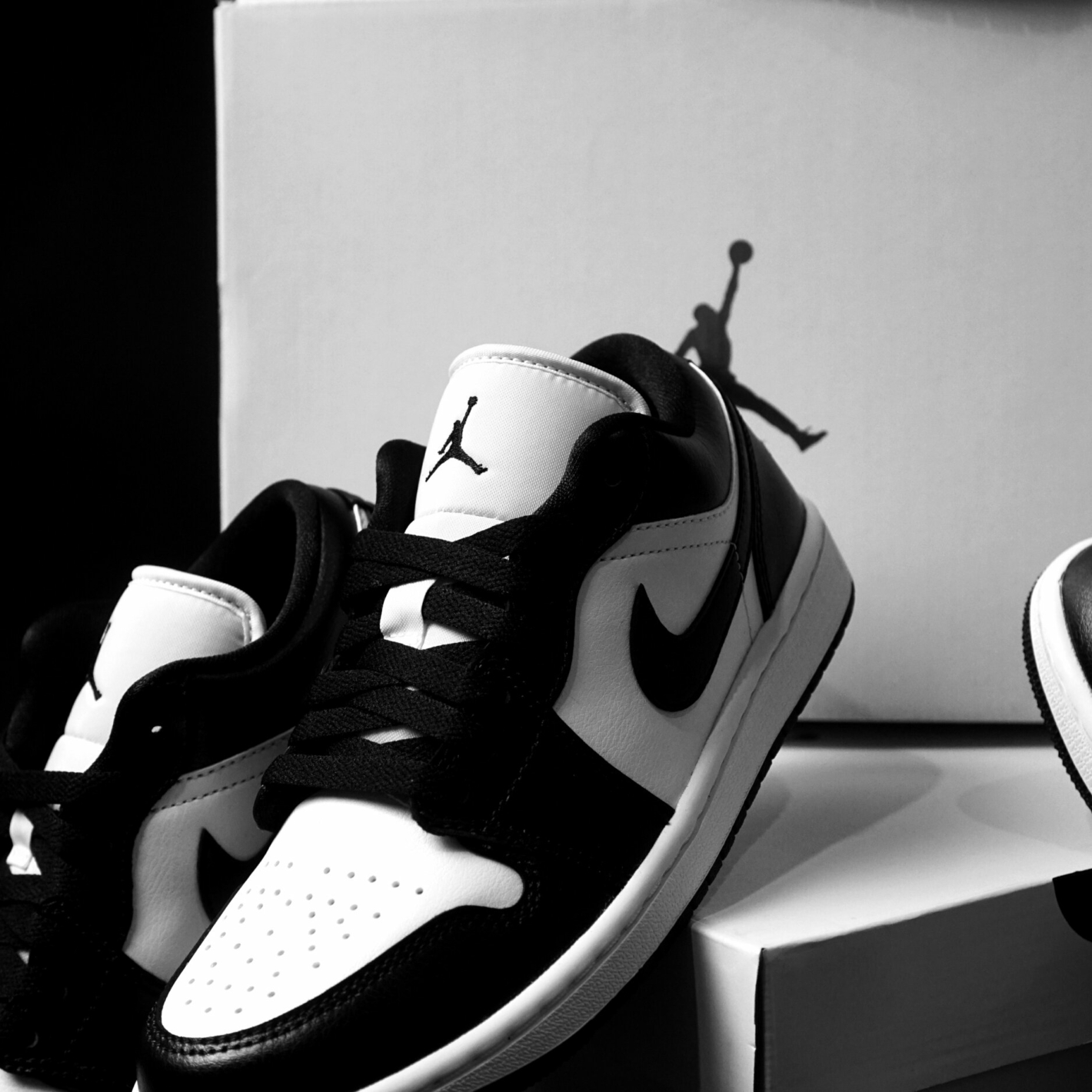 Nike Air Jordanie 1 Low Panda © Rama Rafael/Shutterstock