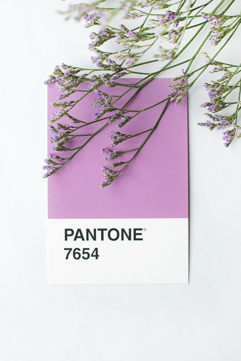 Tendances en 2026 : 4 couleurs &agrave; conna&icirc;tre pour rester moderne