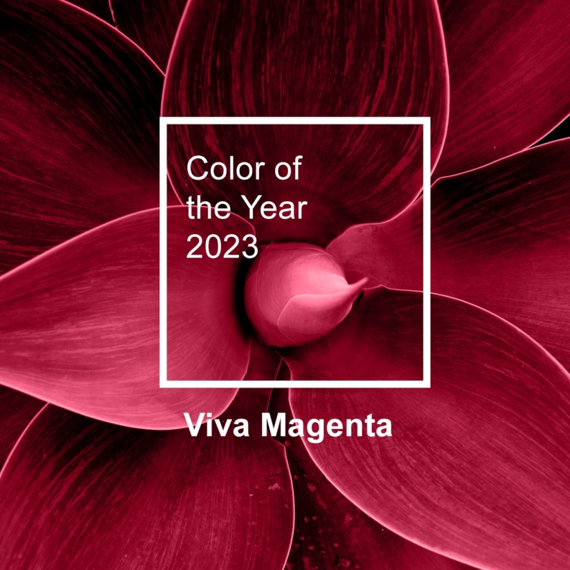Couleur tendance en 2023 : le rouge à la mode est le Viva Magenta